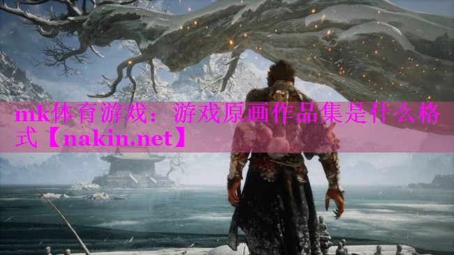 mk体育游戏：游戏原画作品集是什么格式