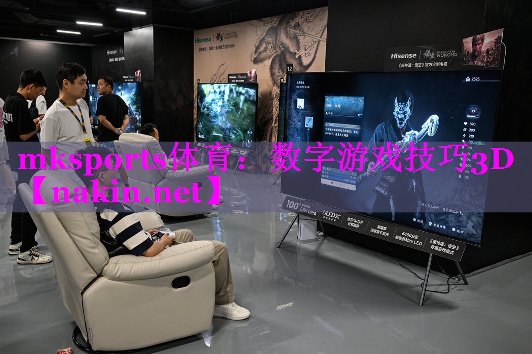 数字游戏技巧3D